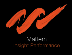 Logo Maltem